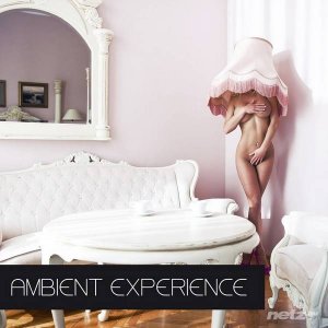  Various Artist - Ambient Experience (2015) 