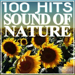 100 Hits Sound of Nature (2015) 