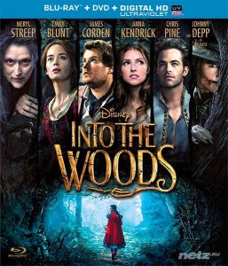     ... / Into the Woods (2014) HDRip 