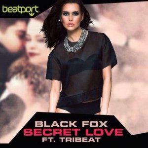  Black FOX feat. Tribeat - Secret Love (Radio Edit) 
