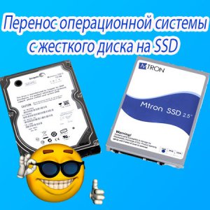         SSD (2015) WebRip 