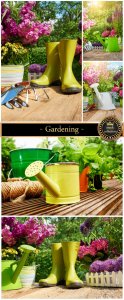  Gardening - stock photos 