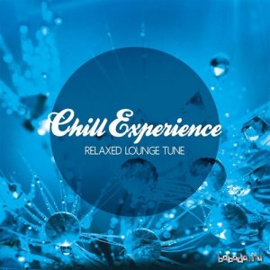  Chill Experience Relaxed Lounge Tune (2015) 