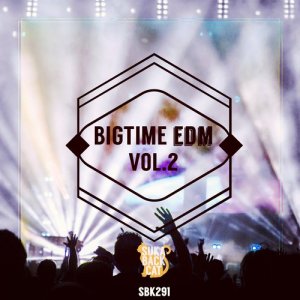  Bigtime EDM, Vol. 2 (2015) 