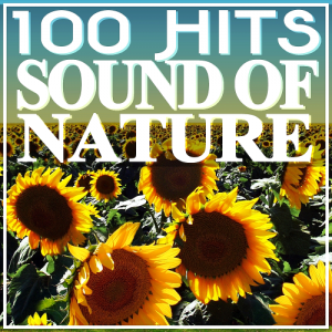  100 Hits Sound of Nature (Halidon Records) 