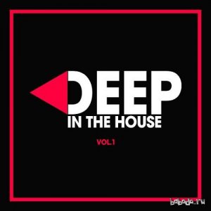  Deep in the House Vol.1 (2016) 