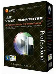  Any Video Converter Professional 5.9.1 