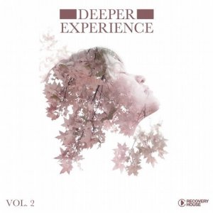  Deeper Experience Vol. 2 (2016) 
