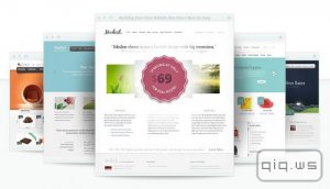  80    Wordpress   Elegant Themes 