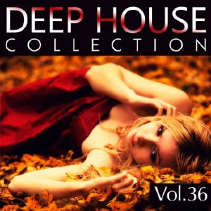  Deep House Collection Vol.36 (2015) 